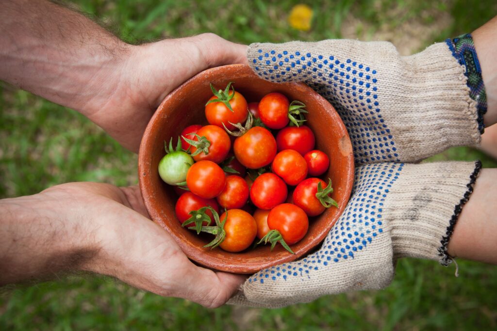 solidarietà_alimentare